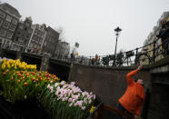 Free bouquet of tulips were thrown to people on bridges in Amsterdam, Netherlands, Saturday, Jan. 15, 2022, as stores across the country cautiously re-opened after weeks of coronavirus lockdown, and the Dutch capital's mood was further lightened by dashes of color in the form of thousands of free bunches of tulips handed out by growers sailing with a boat through the canals. (AP Photo/Peter Dejong)