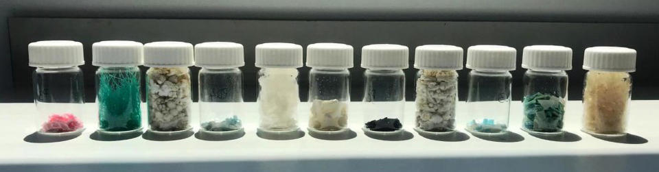 Vials of plastic lined up in a row that was analysed by Spanish researchers who were looking into the effects they have on loggerhead sea turtles.