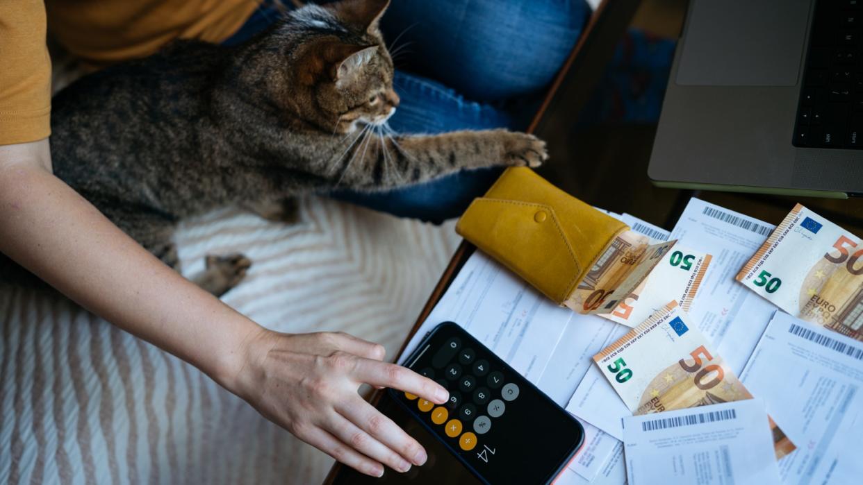  Person makes a budget while sitting next to their kitten. 