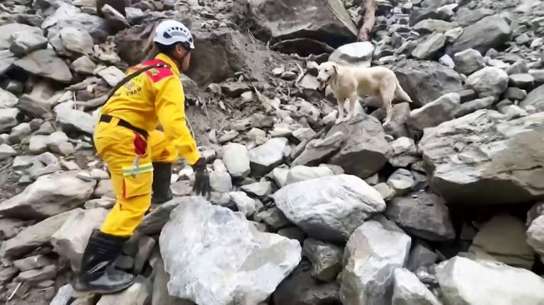 Image tirée d'une vidéo diffusée le 6 avril 2024 par le Service d'incendie du comté de Hualien d'un secouriste cherchant des survivants avec l'aide de du labrador Roger (d), après un puissant séisme sur l'île de Taïwan (Laurent FIEVET)
