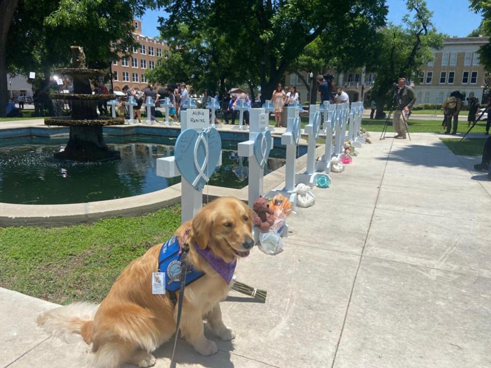 Comfort Dogs Sent to Texas to Offer Support Following Elementary School Shooting