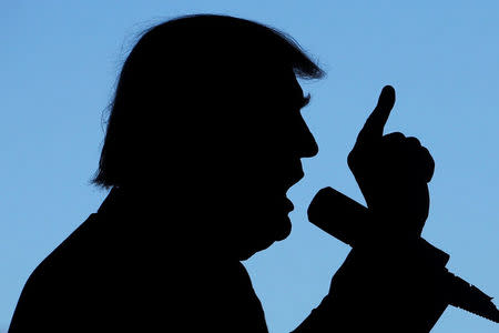 Republican presidential nominee Donald Trump holds a campaign rally in Grand Junction, Colorado, U.S. October 18, 2016. REUTERS/Jonathan Ernst