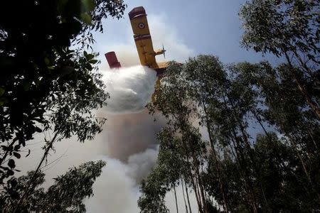 A firefighting plane dumps water on a forest fire in Louriceira, Portugal, June 20, 2017. REUTERS/Miguel Vidal/Files