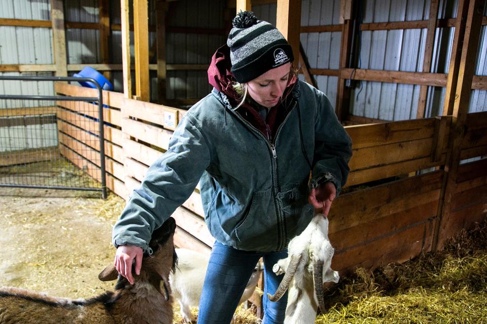 Katie Valentine is greeted by goats at the Iowa Farm Sanctuary, Tuesday, March 29, 2022, in Oxford, Iowa.