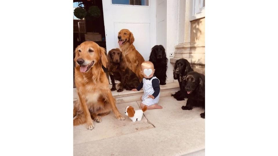 James Middleton's son Inigo surrounded by the family's dogs