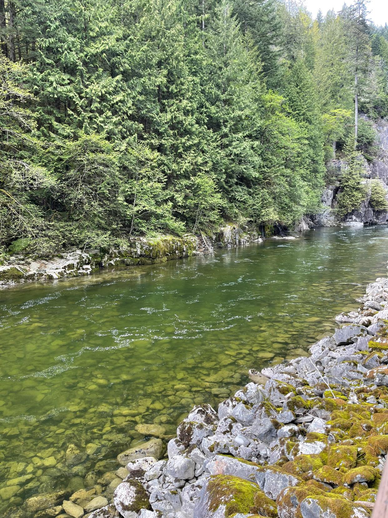 Capilano River at the Salmon Hatchery