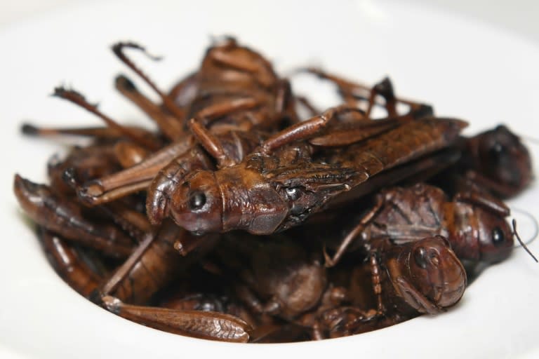 "If we can change people's notions of disgust, maybe we can also open them up to new sustainable proteins," said museum founder Samuel West, pointing to a plateful of Nsenene, grasshoppers considered a delicacy in Uganda