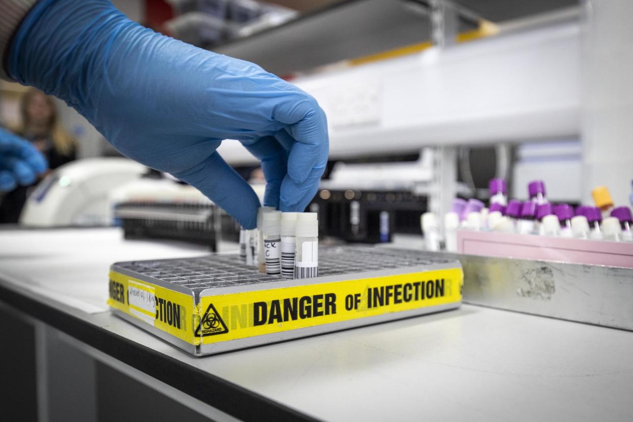 A technician extracts viruses from swab samples so that the genetic structure of a virus can be analysed and identified: Getty Images