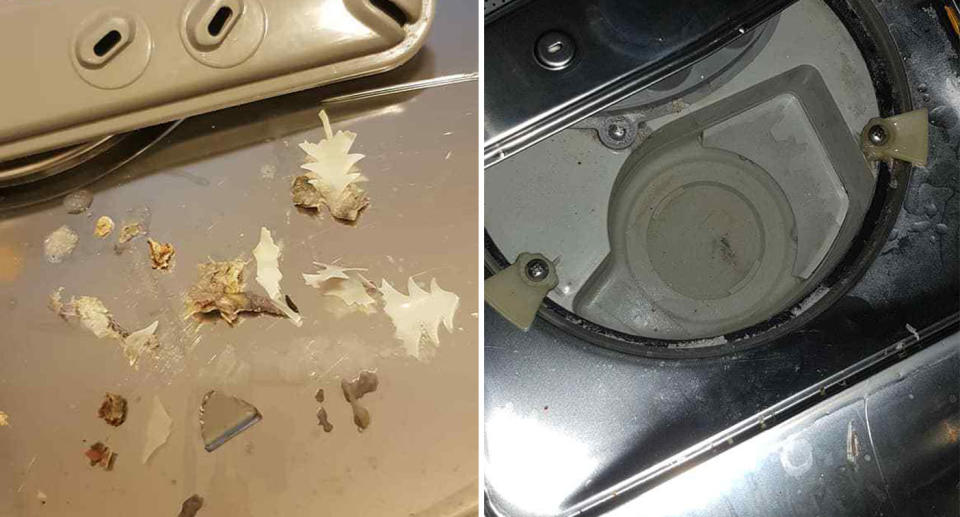 Muck shown after being pulled from inside a South Australian woman's dishwashing machine.