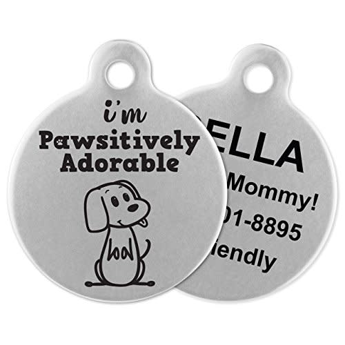 If It Barks - Engraved Pet ID Tags for Dogs - Personalized Stainless Steel Identification Tags - Custom Name Tag Attachment - Made in USA (Amazon / Amazon)