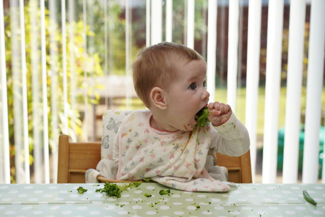 How much should a weaning baby eat - month by month in pictures