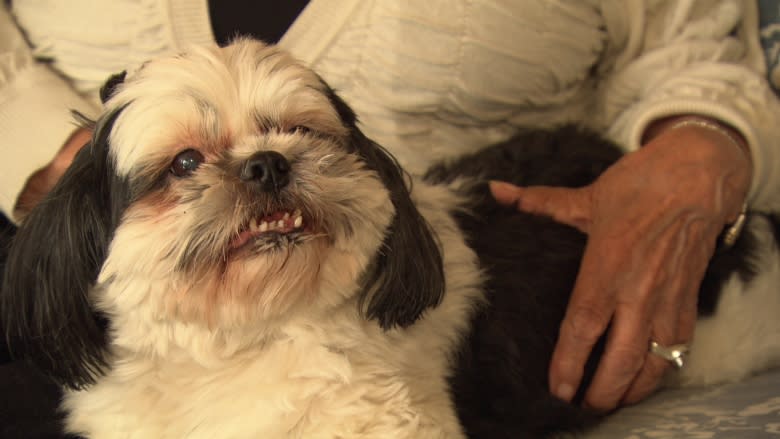 Dollarama calls cops on grandmother who brought dog inside