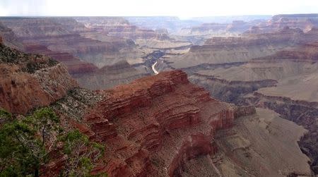 Overall view from the south Rim of the Grand Canyon near Tusayan, Arizona August 10, 2012. REUTERS/Charles Platiau