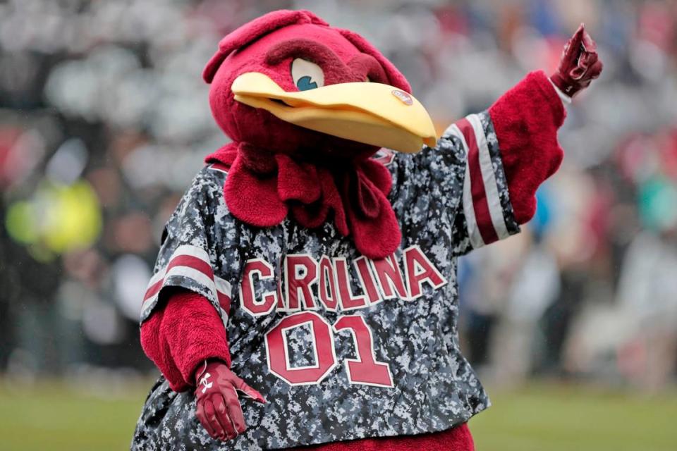 Cocky during the game against Vanderbilt on Saturday, Nov. 11, 2023 at Williams-Brice Stadium.