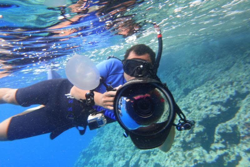 《男人與他的海》紀錄了水下鯨豚攝影師金磊在海底捕捉鯨豚身影，掙扎於現實與理想間的動人故事。（牽猴子）