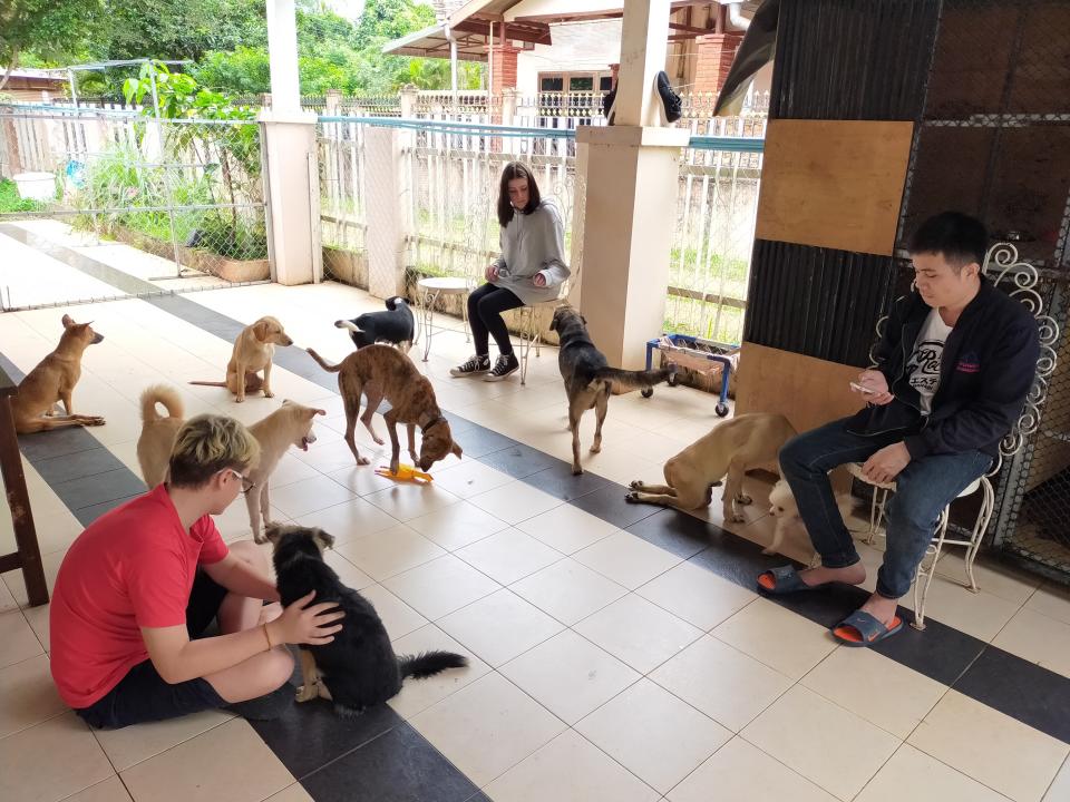 The Vimaan Suan Animal Recovery Centre, located in Vientiane, Laos and founded by Singaporean Kelvin Wee. (PHOTO: Kelvin Wee)