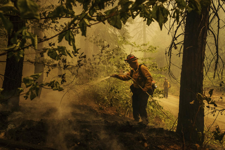 Central Calaveras firefighter Ryan Carpenter extinguishes flames from the Caldor Fire on Hazel Valley Road east of Riverton, Calif., on Thursday, Aug. 19, 2021. (AP Photo/Ethan Swope)