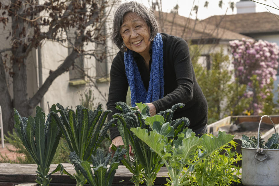 Kathy Masaoka works on her vegetable garden outside her home in Los Angeles on Sunday, Feb. 12, 2023. Masaoka, who testified in 1981 for Japanese American redress and in 2021 in favor of federal reparations legislation, says Japanese Americans are just beginning to educate their own community about Black history and anti-Black prejudice. (AP Photo/Damian Dovarganes)