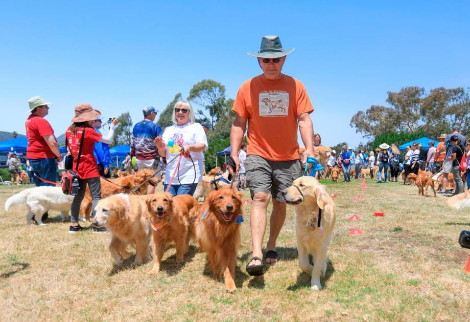 Eric and Diane Bratt of Los Alamos dance down the “Dog Train” with their four golden retrieversat the annual Goldens in the Park festival held at Laguna Lake Park in San Luis Obispo in 2019.