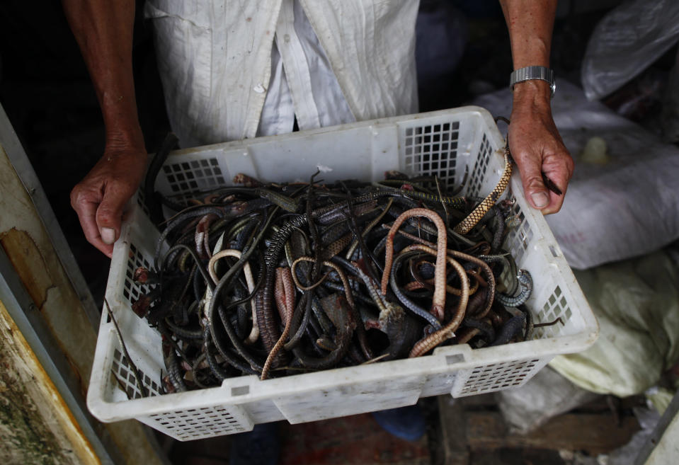 A resident holds tails of snakes at a snake farm in Zisiqiao village, Zhejiang Province June 15, 2011. REUTERS/Aly Song