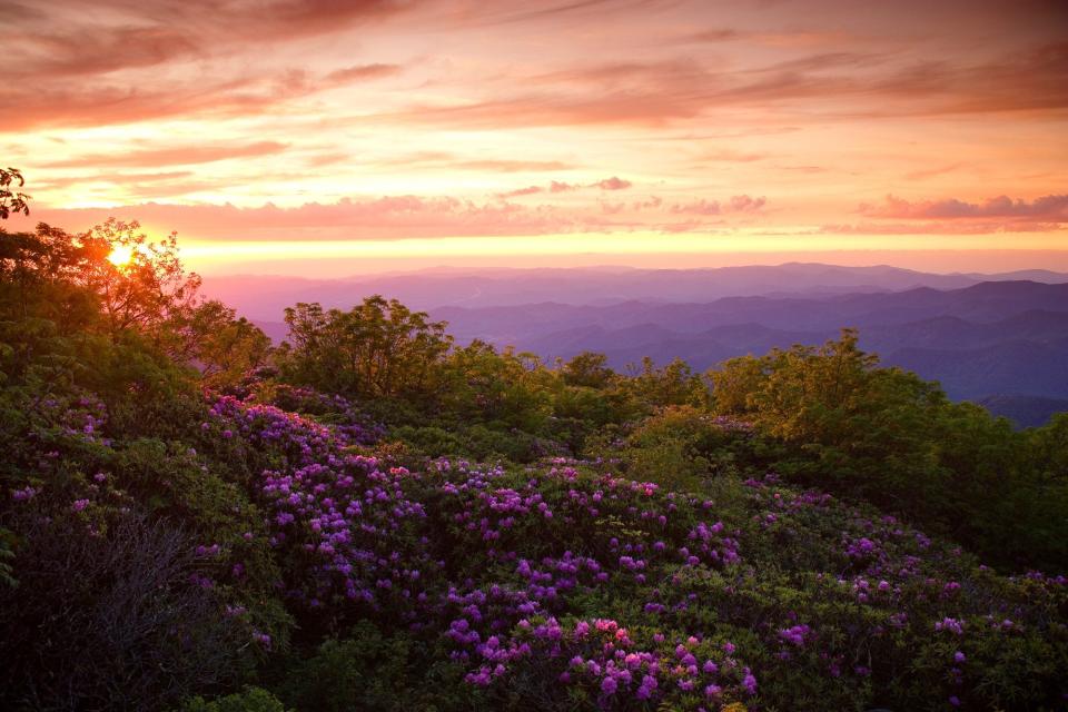 Sun sets in the proposed Craggy National Scenic Area, a 15,000 acre area in Buncombe County that protects old growth, rare and endangered species and scenic views from the Blue Ridge Parkway.