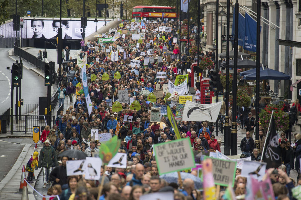 People march along Piccadilly roadway in central London, during the People's Walk for Wildlife, Saturday Sept. 22, 2018. Some hundreds of people gathered in London to demand better protection for the country’s wildlife, with many carrying banners in support of various pro-nature and pro-animal causes. (Dominic Lipinski/PA via AP)