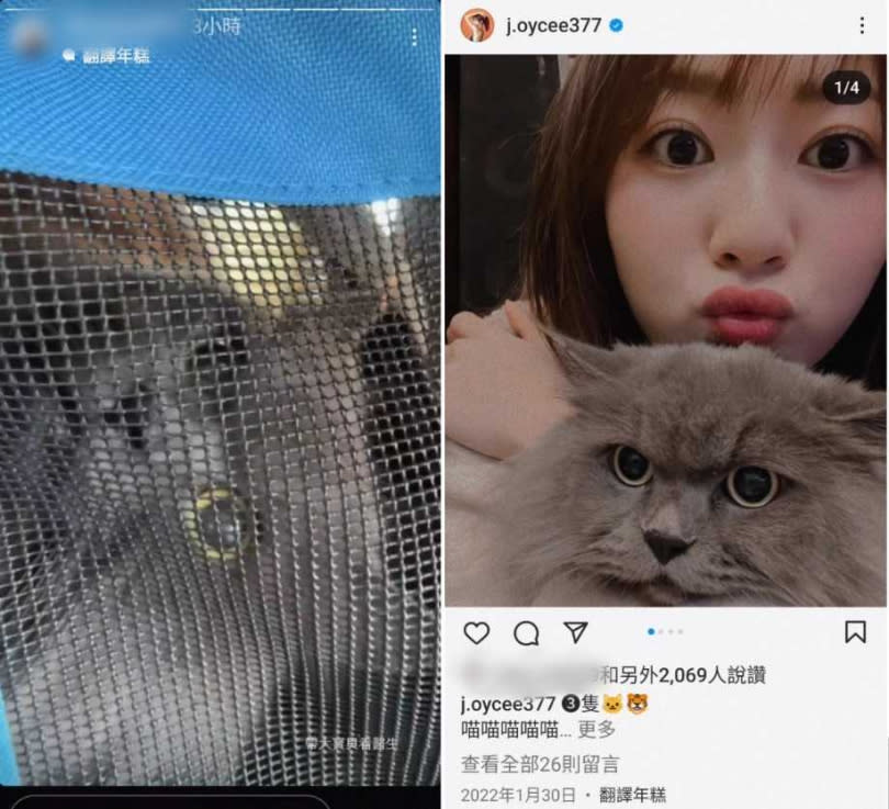 慈妹與帽T男的社群都曾PO出同一隻愛貓的照片，顯見兩人關係。（圖／翻攝自IG）