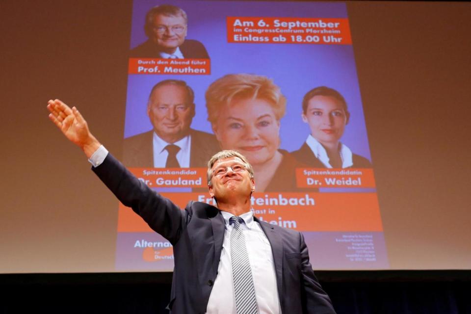 Controversial: The party's federal spokesman Joerg Meuthen (REUTERS)