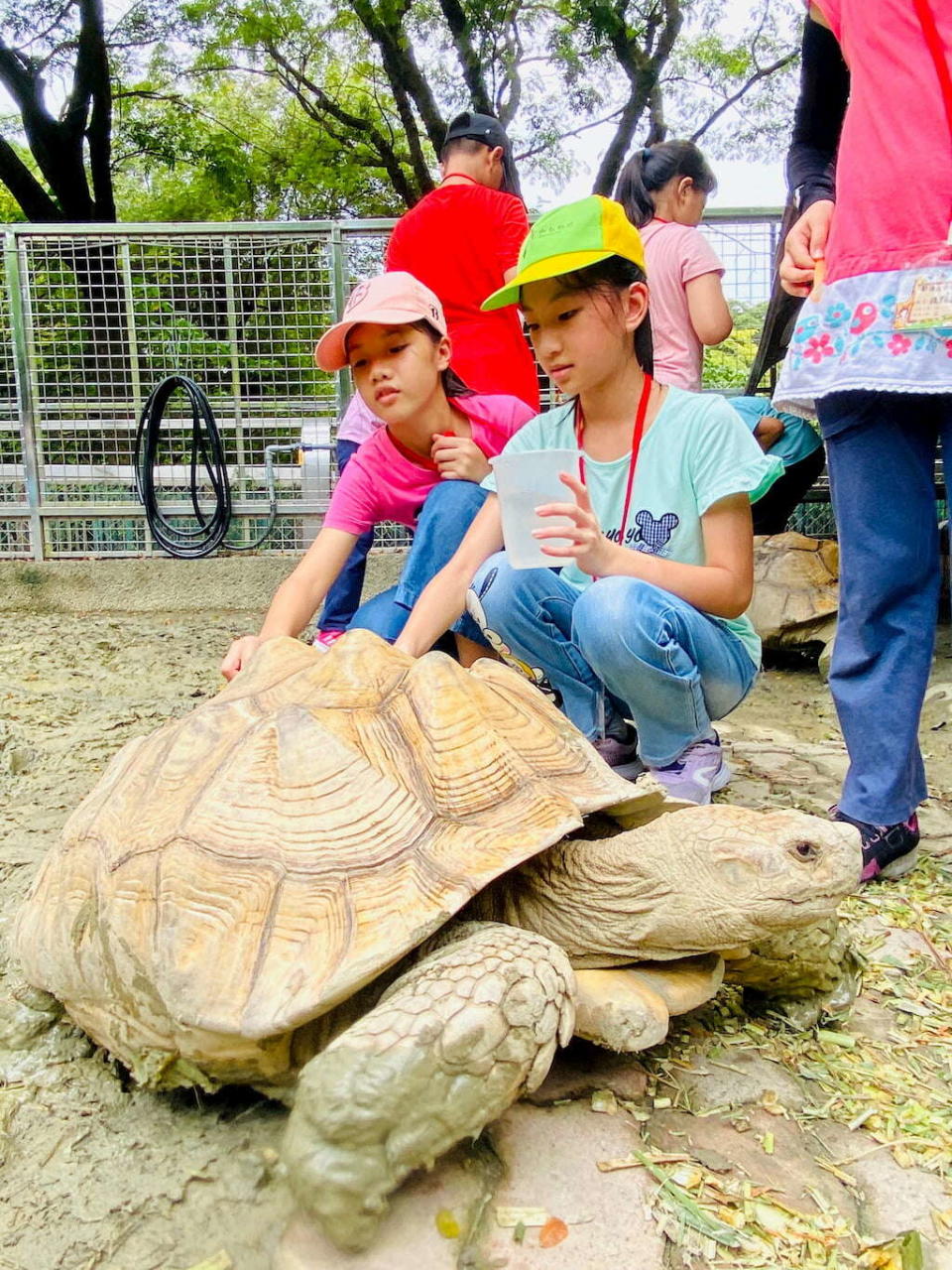 壽山動物園(圖片來源：高雄旅遊網)