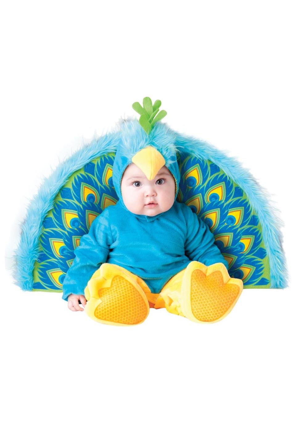 Peacock Costume