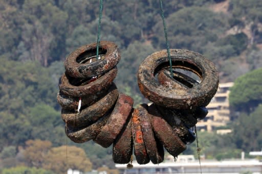 Local French authorities and fishermen hoped back in the 1980s that the tyres would become populated by coral and other sea creatures in a conservation area where fishing was off limits