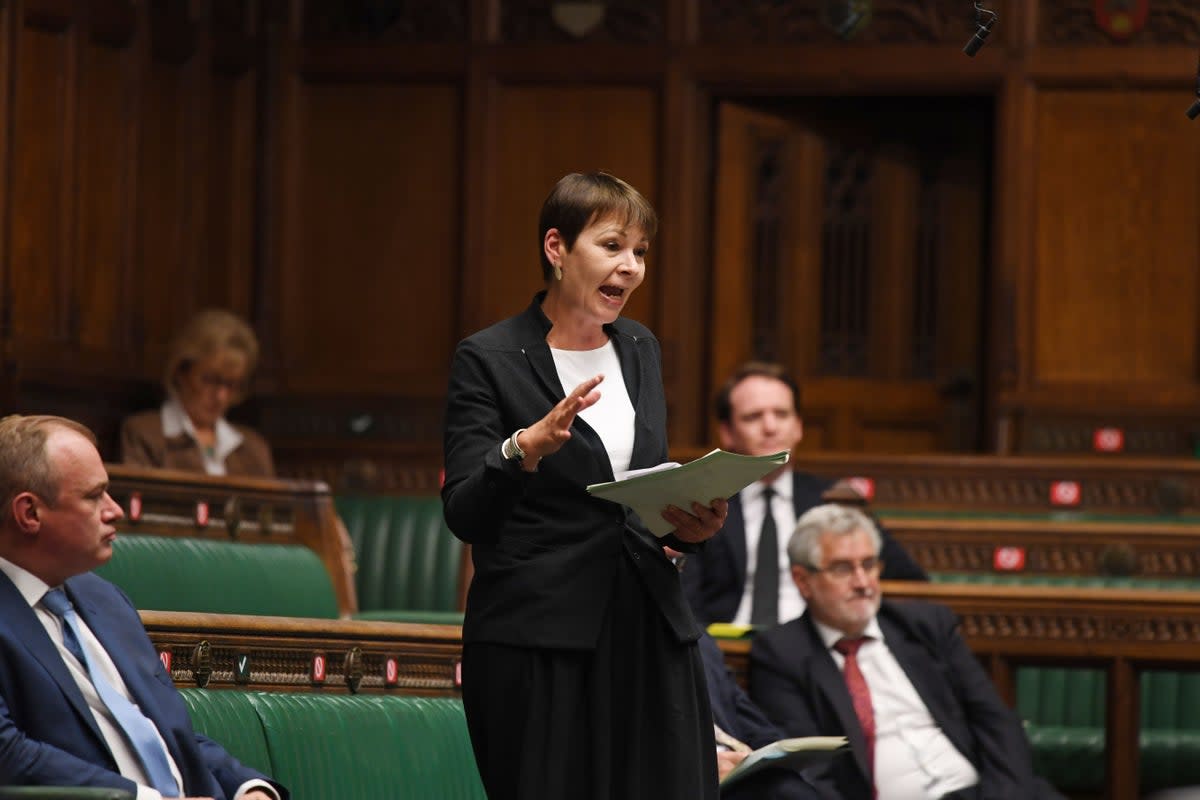 Caroline Lucas (PA Media)