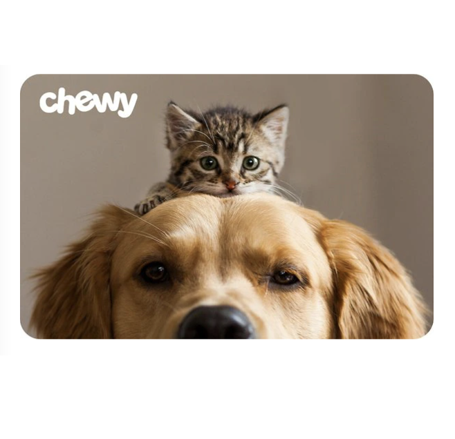 <p><a href="https://go.redirectingat.com?id=74968X1596630&url=https%3A%2F%2Fwww.chewy.com%2Fchewy-egift-card%2Fdp%2F304584&sref=https%3A%2F%2Fwww.esquire.com%2Flifestyle%2Fg41019151%2Fbest-gift-cards-online%2F" rel="nofollow noopener" target="_blank" data-ylk="slk:Shop Now;elm:context_link;itc:0;sec:content-canvas" class="link ">Shop Now</a></p><p>eGift Card</p><p>chewy.com</p><p>$100.00</p>