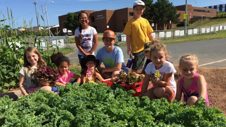 Whitney Pier garden club growing tomorrow's leaders