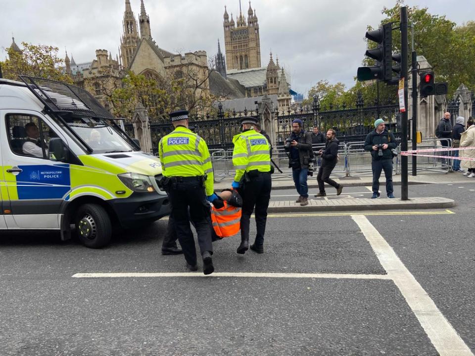 Police carry a protester away during the parliament demonstration (Thomas Kingsley / The Independent)