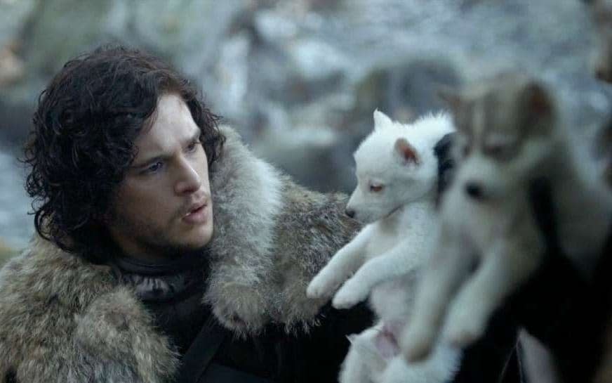 Jon Snow and his direwolf, Ghost - HBO