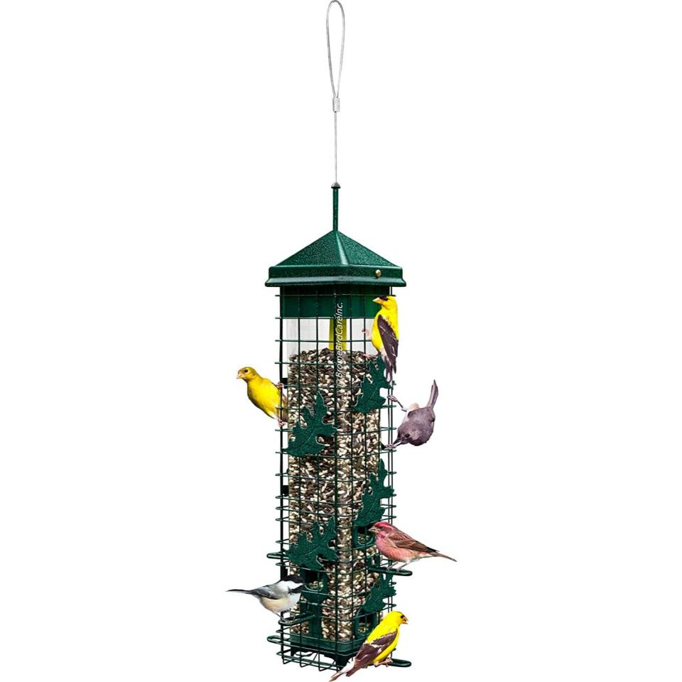 The Best Outdoor Accessories for Bird Lovers Option: Brome Squirrel Solution200 Squirrel-proof Bird Feeder