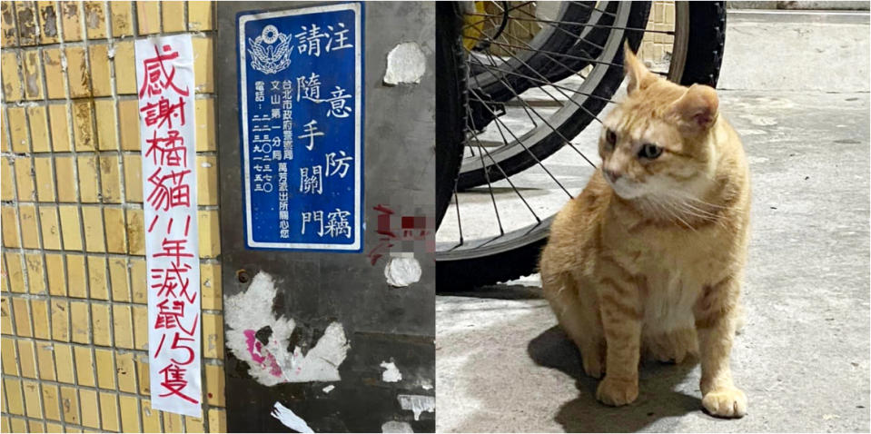 有網友發現，最近社區的牆上出現一張公告表示「感謝橘貓111年滅鼠15隻」。（圖片來源：臉書社團 路上觀察學院）
