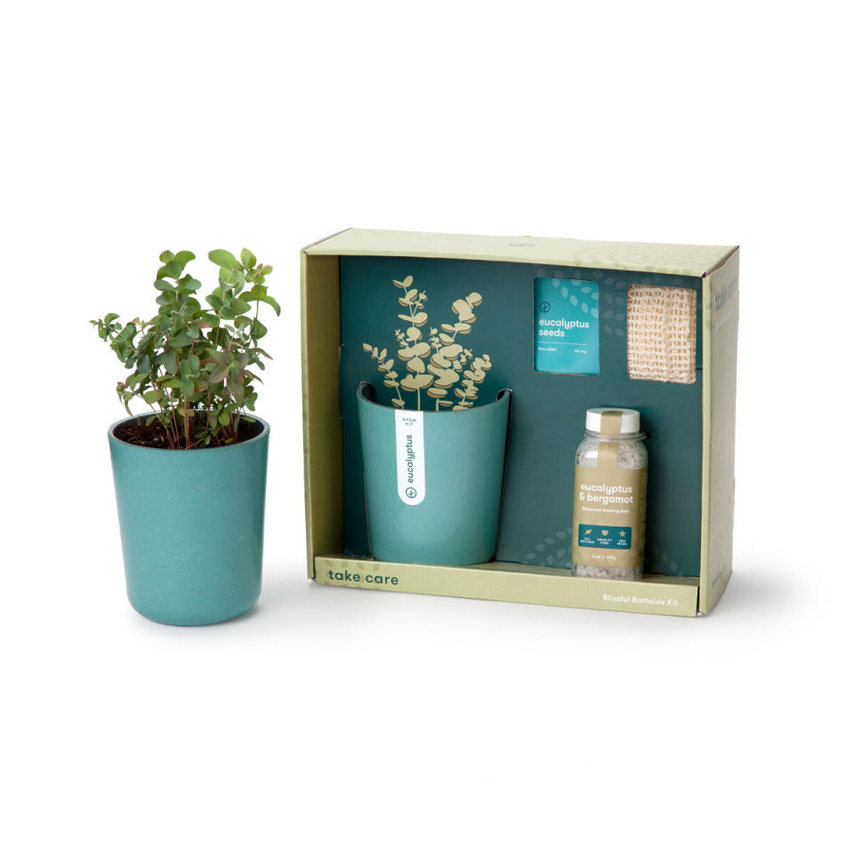 <p><a href="https://go.redirectingat.com?id=74968X1596630&url=https%3A%2F%2Fwww.uncommongoods.com%2Fproduct%2Fjust-breathe-eucalyptus-spa-gift-set&sref=https%3A%2F%2Fwww.womenshealthmag.com%2Flife%2Fg37236064%2Fbest-gifts-under-50%2F" rel="nofollow noopener" target="_blank" data-ylk="slk:Shop Now;elm:context_link;itc:0;sec:content-canvas" class="link ">Shop Now</a></p><p>Just Breathe Eucalyptus Spa Gift Set</p><p>uncommongoods.com</p><p>$40.00</p>