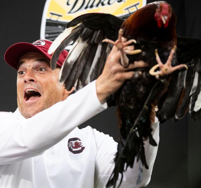 Gamecocks Open 2023 Football Season Saturday in Charlotte