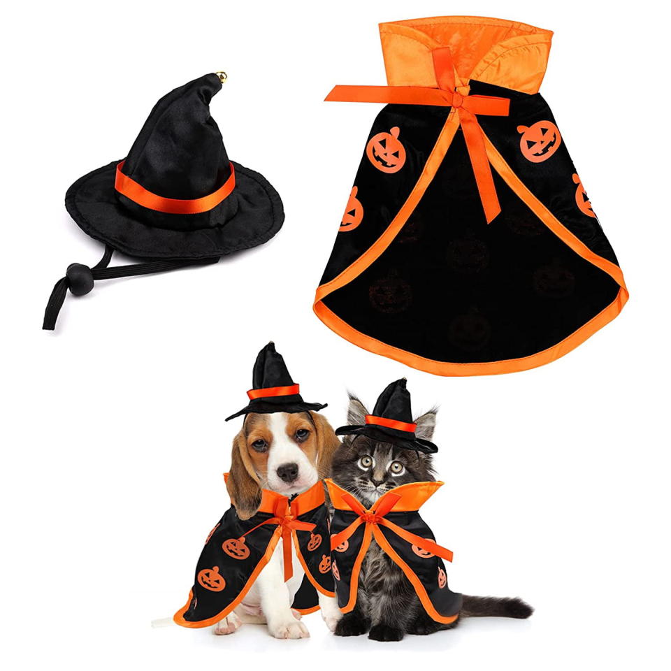 <p><a href="https://go.redirectingat.com?id=74968X1596630&url=https%3A%2F%2Fwww.walmart.com%2Fip%2F2pcs-Pet-Halloween-Costumes-Funny-Small-Dog-Cat-Cosplay-Costume-Pumpkin-Cloak-Wizard-Hat-Halloween-Pet-Accessories-Costumes-for-Dog-Cats-Kittens%2F1610011660&sref=https%3A%2F%2Fwww.thepioneerwoman.com%2Fholidays-celebrations%2Fg44495776%2Fhalloween-costumes-for-cats%2F" rel="nofollow noopener" target="_blank" data-ylk="slk:Shop Now;elm:context_link;itc:0;sec:content-canvas" class="link ">Shop Now</a></p><p>Witch Cat Costume</p><p>$10.99</p><p>walmart.com</p><span class="copyright">Walmart</span>