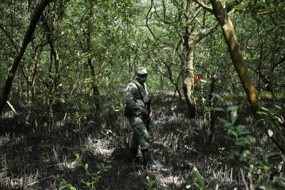 A Mexican Army soldier stands next to a flag marking the site of a clandestine grave in Puquita, a tropical mangrove island near Alvarado in the Gulf coast state of Veracruz, Mexico, Thursday, Feb. 18, 2021. Investigators from the National Search Commission found three pits with human remains and plastic bags inside. The number of bodies there has not yet been determined. (AP Photo/Felix Marquez)