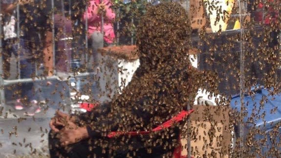 <p>A man in Canada covered his head in bees for just over an hour in downtown Toronto Wednesday, as you do, to promote the release of a new movie.</p> <p>Juan Carlos Noguez Ortiz from nearby Dickey Bee Honey Farm grew what's known by practitioners of the bizarre ritual as a "bee beard" for the stunt, which saw him engulfed in insects for 61 excruciating minutes.</p> <p>He smashed the previous record of 53 minutes, 34 seconds, <a rel="nofollow noopener" href="http://www.cbc.ca/news/canada/toronto/guinness-world-record-bee-beard-1.4269351" target="_blank" data-ylk="slk:according to;elm:context_link;itc:0;sec:content-canvas" class="link ">according to</a> local media who were watching the horror at the city's Yonge-Dundas Square.</p> <div><p>SEE ALSO: <a rel="nofollow noopener" href="http://mashable.com/2017/07/30/mosquito-bite-shaming/?utm_campaign=Mash-BD-Synd-Yahoo-Watercooler-Full&utm_cid=Mash-BD-Synd-Yahoo-Watercooler-Full" target="_blank" data-ylk="slk:Stop telling people not to worry about mosquito bites if you don't get mosquito bites;elm:context_link;itc:0;sec:content-canvas" class="link ">Stop telling people not to worry about mosquito bites if you don't get mosquito bites</a></p></div> <p>100,000 bees were used from the nearby farm, according to its master beekeeper Peter Dickey. "But we brought the gentle ones," he insisted, because "that is very important when we are doing the bearding."</p> <div><div><blockquote> <p>Our <a rel="nofollow noopener" href="https://twitter.com/GWR" target="_blank" data-ylk="slk:@GWR;elm:context_link;itc:0;sec:content-canvas" class="link ">@GWR</a> attempt underway at <a rel="nofollow noopener" href="https://twitter.com/YDSquare" target="_blank" data-ylk="slk:@YDSquare;elm:context_link;itc:0;sec:content-canvas" class="link ">@YDSquare</a> for <a rel="nofollow noopener" href="https://twitter.com/hashtag/BloodHoney?src=hash" target="_blank" data-ylk="slk:#BloodHoney;elm:context_link;itc:0;sec:content-canvas" class="link ">#BloodHoney</a> with <a rel="nofollow noopener" href="https://twitter.com/dickeybeehoney" target="_blank" data-ylk="slk:@dickeybeehoney;elm:context_link;itc:0;sec:content-canvas" class="link ">@dickeybeehoney</a>! <br><br>Wish Juan luck 🐝🍯🇨🇦 <br>Watch: <a rel="nofollow noopener" href="https://t.co/8zAhIfNJDe" target="_blank" data-ylk="slk:https://t.co/8zAhIfNJDe;elm:context_link;itc:0;sec:content-canvas" class="link ">https://t.co/8zAhIfNJDe</a> <a rel="nofollow noopener" href="https://t.co/8cma761Gts" target="_blank" data-ylk="slk:pic.twitter.com/8cma761Gts;elm:context_link;itc:0;sec:content-canvas" class="link ">pic.twitter.com/8cma761Gts</a></p> <p>— Blood Honey (@BloodHoneyMovie) <a rel="nofollow noopener" href="https://twitter.com/BloodHoneyMovie/status/902932973070295040" target="_blank" data-ylk="slk:August 30, 2017;elm:context_link;itc:0;sec:content-canvas" class="link ">August 30, 2017</a></p> </blockquote></div></div>  <p>Dickey's farm also provided the bees for the film the whole stunt was aiming to promote - <em>Blood Honey - </em>which seemingly features blood, honey, and a lot of bees.</p> <div><div><blockquote> <p>A Guinness World Record Event at <a rel="nofollow noopener" href="https://twitter.com/hashtag/YDSquare?src=hash" target="_blank" data-ylk="slk:#YDSquare;elm:context_link;itc:0;sec:content-canvas" class="link ">#YDSquare</a> this week! <br>Wearing a head full of bees to promote the film BLOOD HONEY <a rel="nofollow noopener" href="https://t.co/47znM9gv1X" target="_blank" data-ylk="slk:https://t.co/47znM9gv1X;elm:context_link;itc:0;sec:content-canvas" class="link ">https://t.co/47znM9gv1X</a> <a rel="nofollow noopener" href="https://t.co/QXhEebqJaa" target="_blank" data-ylk="slk:pic.twitter.com/QXhEebqJaa;elm:context_link;itc:0;sec:content-canvas" class="link ">pic.twitter.com/QXhEebqJaa</a></p> <p>— Yonge-Dundas Square (@YDSquare) <a rel="nofollow noopener" href="https://twitter.com/YDSquare/status/902238789917184001" target="_blank" data-ylk="slk:August 28, 2017;elm:context_link;itc:0;sec:content-canvas" class="link ">August 28, 2017</a></p> </blockquote></div></div> <p>Keep an eye out for it.</p> <p>In the meantime, here a few more bee bearding pics to haunt your dreams.</p>  <p>Bees cover beekeeper Gao Bingguo Tai'an, Shandong Province of China in 2014. Gao Bingguo attracted about 326,000 bees, 32.6kg in weight, onto his body in more than one hour after placing nearly 50 queen bees on his body.</p><div><p>Image: VCG via Getty Images</p></div> <p>Bee keeper Bui Duy Nhat stands while thousands of wild bees land on his body, in Nua Ngam commune, Dien Bien province, Vietnam, 26 May 2017.</p><div><p>Image: PHAM NGOC THANH/EPA/REX/Shutterstock</p></div><div><blockquote> <p><a rel="nofollow noopener" href="https://t.co/52DAkRkS4t" target="_blank" data-ylk="slk:pic.twitter.com/52DAkRkS4t;elm:context_link;itc:0;sec:content-canvas" class="link ">pic.twitter.com/52DAkRkS4t</a></p> <p>— MGM (@Marcanadian) <a rel="nofollow noopener" href="https://twitter.com/Marcanadian/status/902936333651456000" target="_blank" data-ylk="slk:August 30, 2017;elm:context_link;itc:0;sec:content-canvas" class="link ">August 30, 2017</a></p> </blockquote></div> <div> <h2><a rel="nofollow noopener" href="http://mashable.com/2017/08/02/sustainable-indoor-vertical-farm/?utm_campaign=Mash-BD-Synd-Yahoo-Watercooler-Full&utm_cid=Mash-BD-Synd-Yahoo-Watercooler-Full" target="_blank" data-ylk="slk:WATCH: You're closer to having a sustainable farm in your home than you might think;elm:context_link;itc:0;sec:content-canvas" class="link ">WATCH: You're closer to having a sustainable farm in your home than you might think</a></h2> <div>  </div> </div> 
