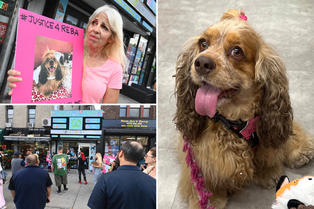 Photos showing Amanda Lee protesting outside Fluff and Love, as well as other protestors and a close-up of Reba.