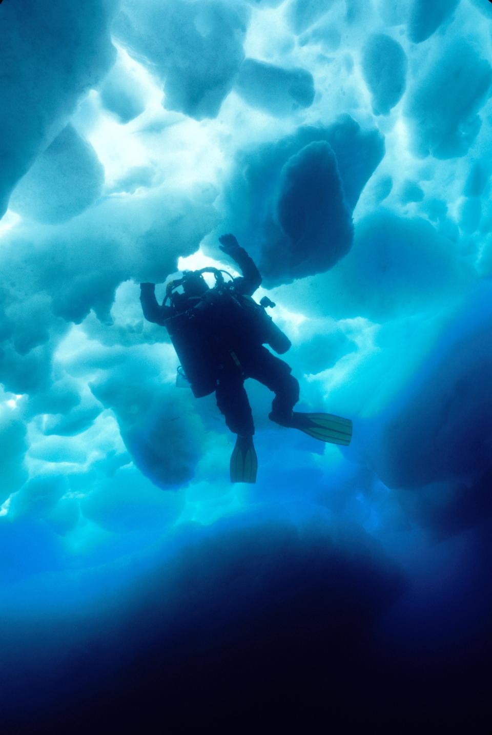 A diver floats beneath chunks of ice