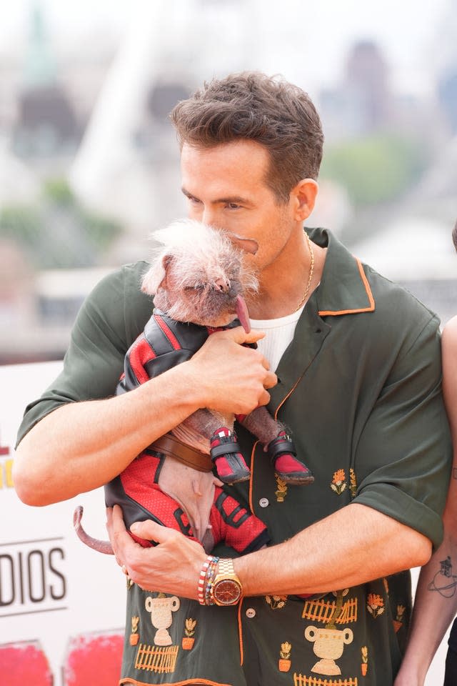 Ryan Reynolds kissing Peggy the dog