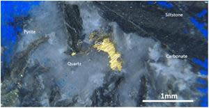 Photomicrograph of gold within veining at 998.7 m of CD002.