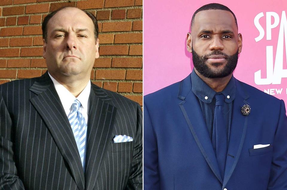 <p>Craig Blankenhorn/HBO/Courtesy Everett Collection; Broadimage/Shutterstock </p> James Gandolfini (left) and LeBron James