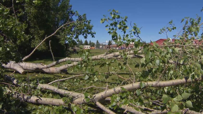 Two more days without power for some Red Deer residents