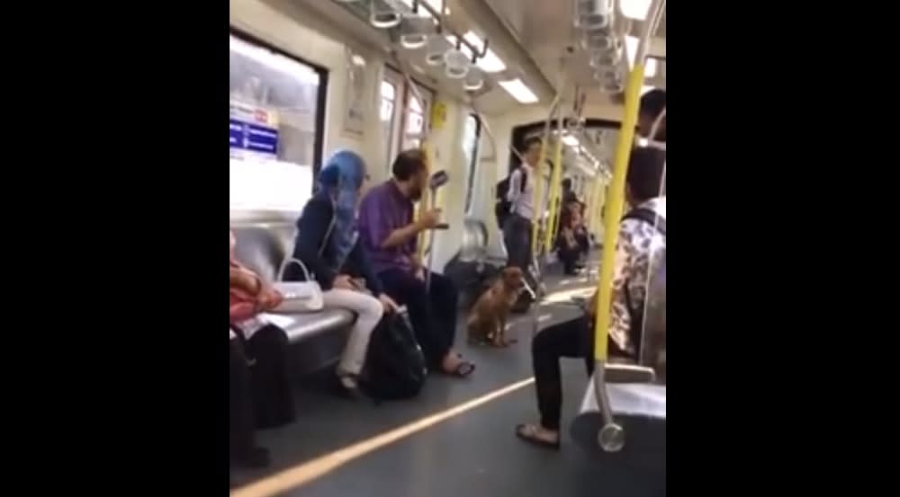 The stray dog scurried into the 8.24am train at the LRT Miharja Station yesterday. ― Screengrab via Facebook/Elyana Nadia